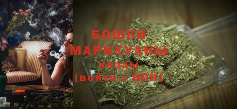 мориарти телеграм  продажа наркотиков  Нижнеудинск  Марихуана SATIVA & INDICA 